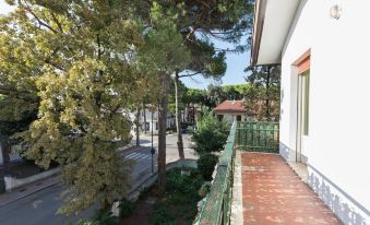 Villa Tamoni