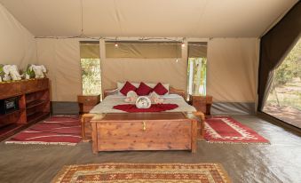 Hammerkop Migration Camp