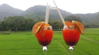 Hotel Asliya Regency Hotels in Kurunegala