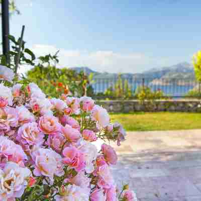 Swan Lake Hotel - Adult Only Hotel Exterior