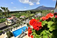 Palazzo Rosenthal Vesuview Hotel & Resort - Wi-Fi