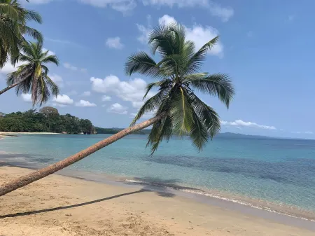 Cabinas Manzanillo Caribe Sur CR Отели в г. Мансанильо