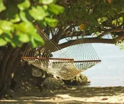 Jamaica Inn Các khách sạn ở 