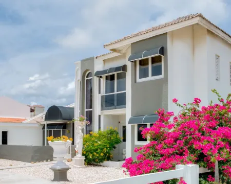 阿魯巴現代酒店 棕櫚灘酒店