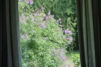 Guesthouse - Kuin Kotonaan