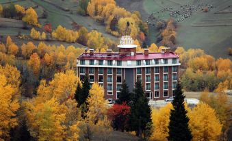 Black Forest Hotel