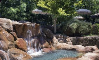 Lazy Z Resort