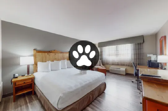 Best Western Plus Rio Grande Inn