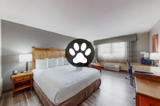 ベスト ウエスタン プラス リオ グランデ イン