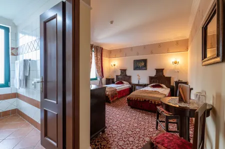 Hotel Boutique Casa del Sole Отели в г. Тимишоара