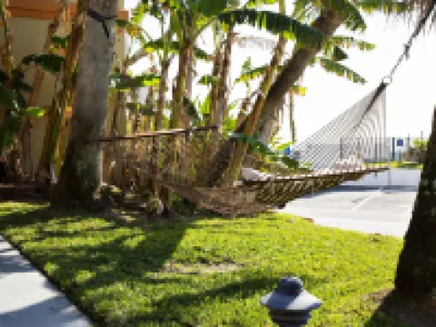 代託納之夢汽車旅館 代託納海灘酒店