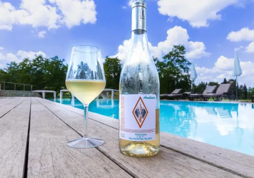 Podere Dell'Anselmo Hotels in Montespertoli