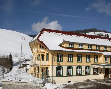 Grüner Baum Naturparkhotel & Schwarzwald-Restaurant Hotels in Todtnau