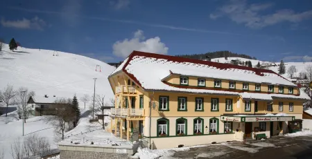Grüner Baum Naturparkhotel & Schwarzwald-Restaurant Отели в г. Тодтнау