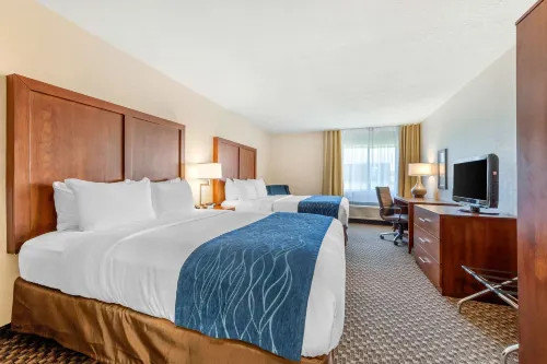 Comfort Inn & Suites Near Route 66 - Pet friendly