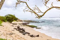 Mirissa Beach Villa - Villas