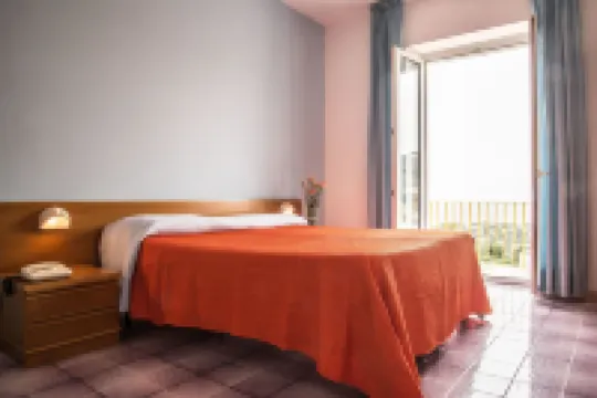 Hotel Internazionale Hoteles en 