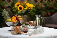 Sun Residence Exclusive Seaside Suites Hotels in Polychrono