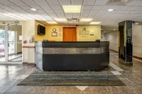 Quality Inn & Suites I-81 Exit 7 - piscine