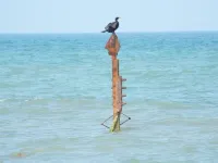 Olde Hall Hotels in Mundesley