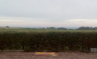 Chambres d'Hôtes la Ferme du Bout de la Ville