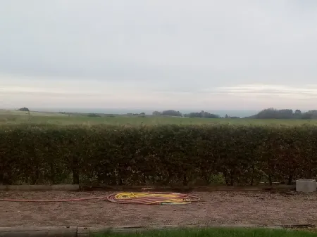 Chambres d'Hôtes la Ferme du Bout de la Ville Отели в г. Сосёзмар-ан-Ко