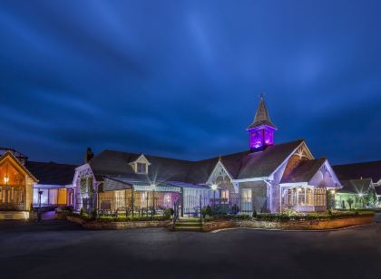 Treacys Oakwood Hotel, Shannon