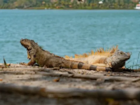 Hotel Florida de Tuxpan Hoteles en Túxpam de Rodríguez Cano