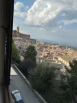 Il nido dell'upupa