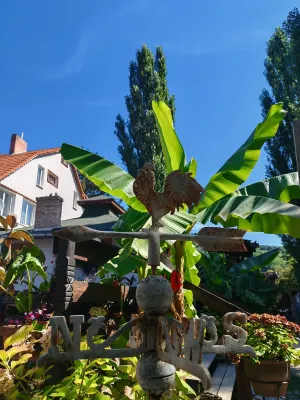 Nomad Hotel & Glamping Hotels in Szarvaskő