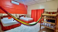 Blue Dolphin Hotels in 