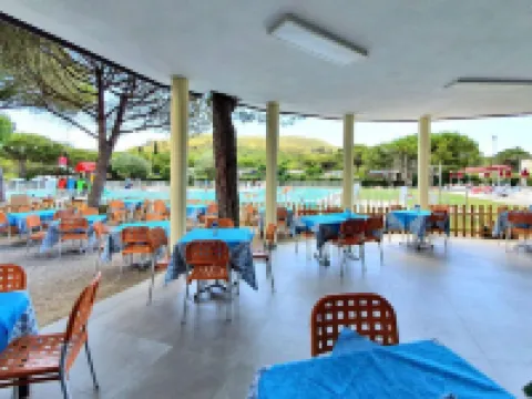 卡寧拉科納松樹營地 卡波利韋裡住宿飯店