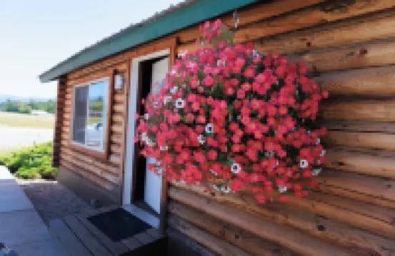 Big Medicine Cabins