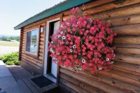 Big Medicine Cabins