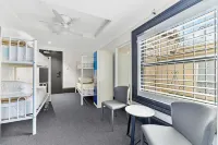 London Plane Backpackers Hotels in Rushcutters Bay