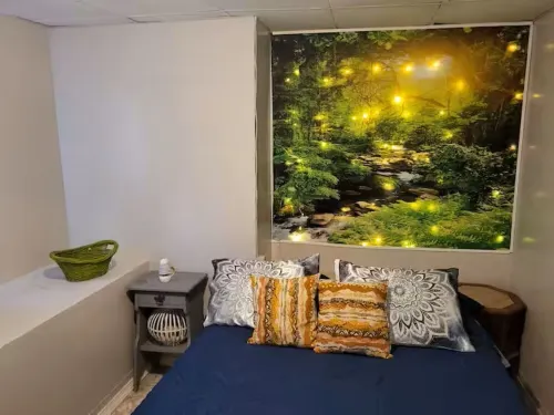 Yogi's Nature Stay 2 beds spa shower Chautauqua Lake, Jamestown