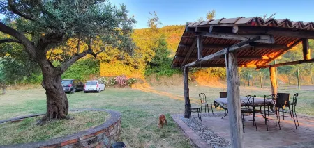 Adorable studio surrounded by greenery, ideal for couples