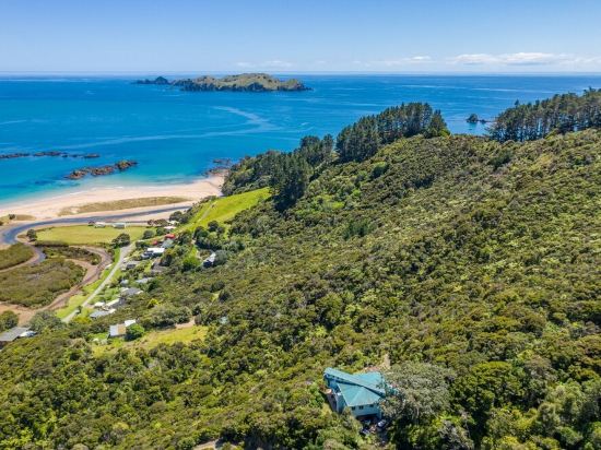 The Kereru's Nest. Overlooking the wonderful Tauranga Bay beach