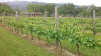 Holiday home in the Florentine Chianti area