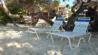 Corner Suite "Glass House on the Sea" Modern Luxury on Sapphire Beach - 4-Sterne