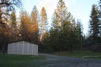 Yosemite/Mariposa Mountain Get-a-way