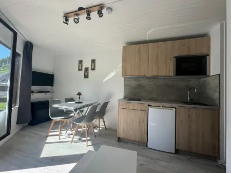 Avoriaz apartment rental 4 people