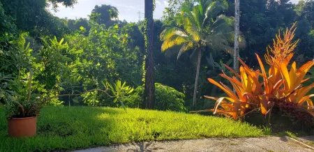 Grand Chalet,  Private Pool, AC, River Access, Pool Table BBQ WIFI Parking