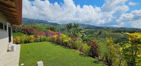 OCEAN, MOUNTAINS, JUNGLE - TOP OF THE WORLD