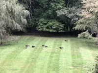 Bear Mountain House. Hotels in Philipstown