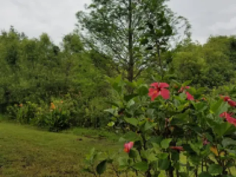 Beautiful Villa! On Wildlife Area, Natural Privacy! Close to Everything. Welcome Hotels in Oldsmar