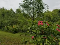 Beautiful Villa! On Wildlife Area, Natural Privacy! Close to Everything. Welcome