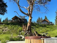 Coastal Storm Watching Retreat, Pet Friendly, Sauna (ADD-on) Hot Tub & Fireplace Hotel a qathet