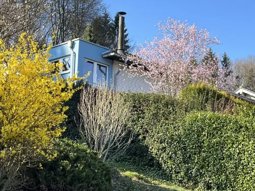 Relaxation near Cologne in the middle of nature Hotels in Rosrath