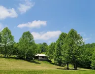 Riverside Cabin on the New River;  Pets Welcome; All Fees Included